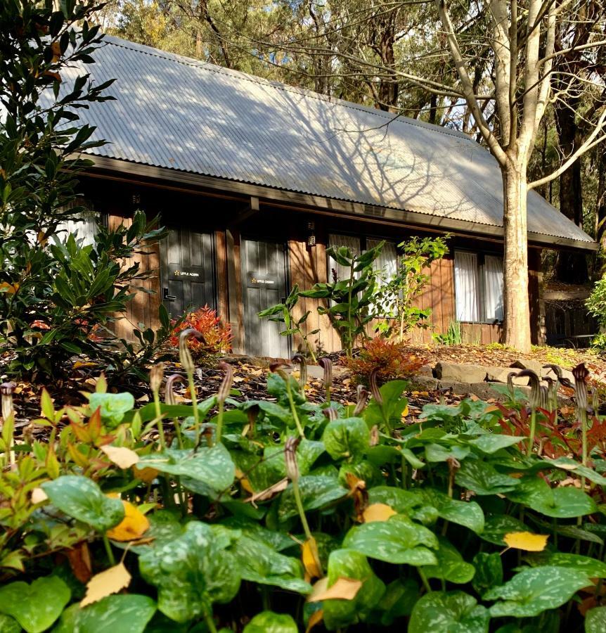 Emerald Star Cottages Zewnętrze zdjęcie